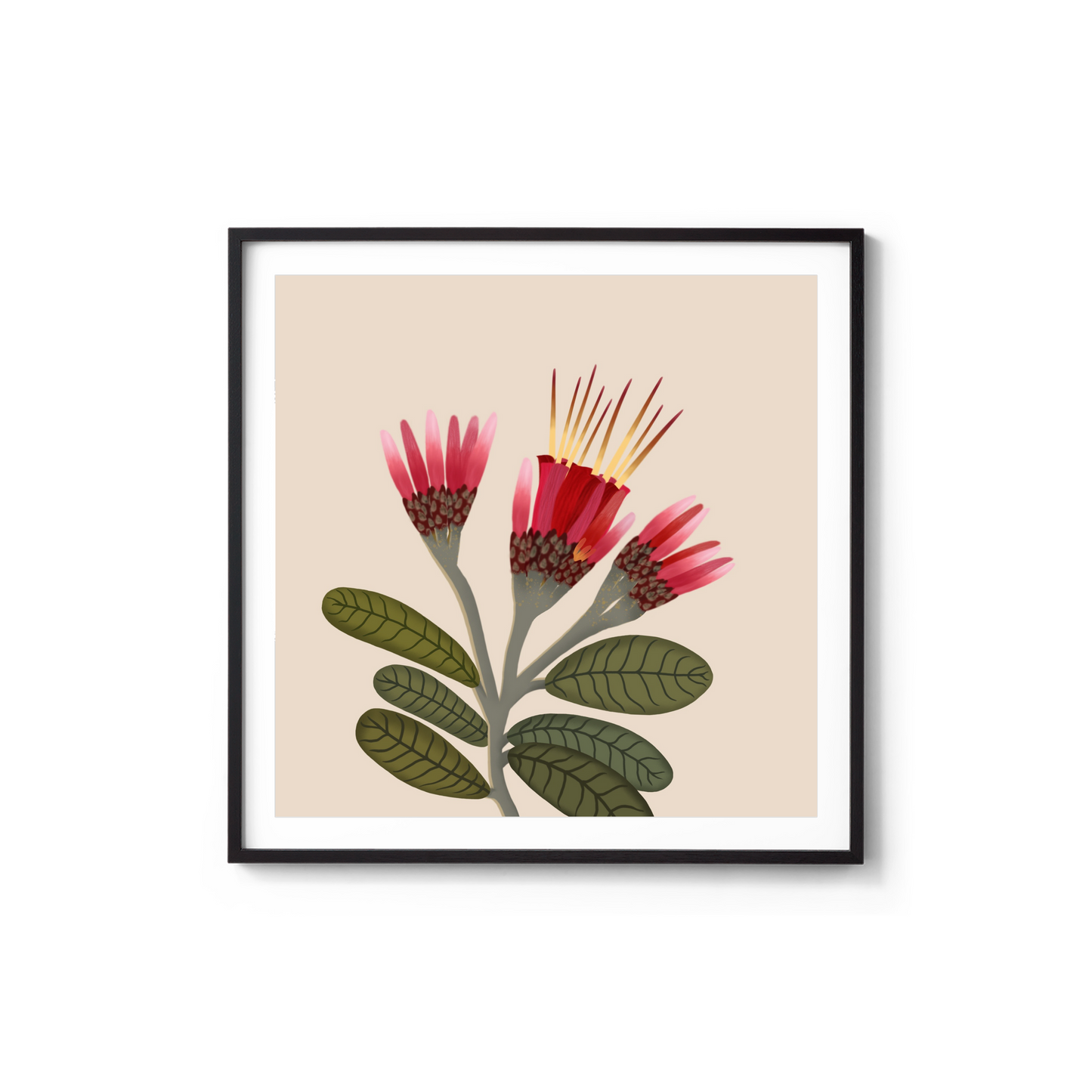 poster de la flor de LAS MIRABAL souvenir dominicano